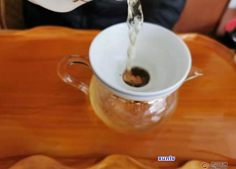 普洱茶小茶饼冲泡 *** 视频教程大全