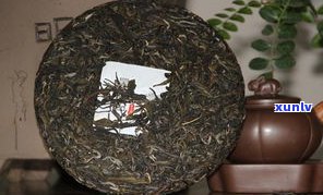 探究普洱茶各种茶饼的区别与功效，一图看懂哪种茶饼更优