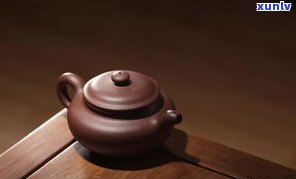 泡普洱茶用什么茶壶更好？详细解析选择茶壶的关键因素