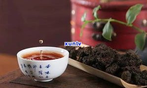 普洱茶是什么茶韵的？了解其特点与分类