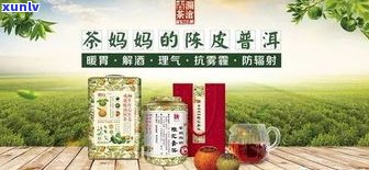 澜沧古茶普洱茶价格全览：1966、熟茶及官网价一览