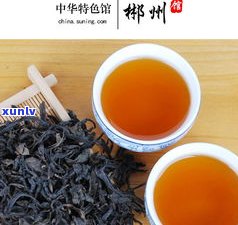 原来茶农直供的普洱茶可以这么便宜！是真的吗？