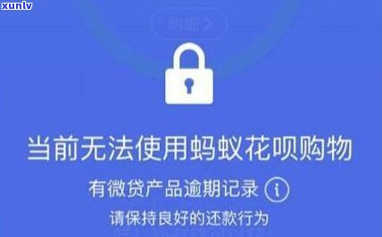 花呗流水在上有显示吗？关闭后是不是会作用？怎样判断花呗是不是已上？采用后，会显示什么信息？查询报告会包含花呗记录吗？