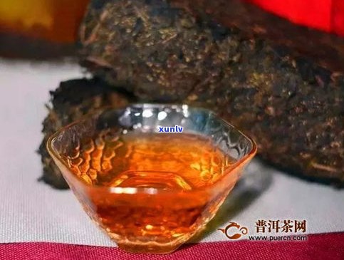 泾阳茯茶：不是普洱茶，但有独特品质与口感，值得品鉴