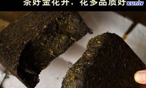 探究泾阳茯茶的独特特点及其优势，深入了解其口感和品质特性