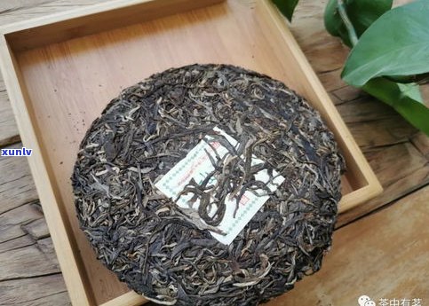 普洱茶生茶的茶饼能吃吗？熟茶饼存放时间及是否含解析