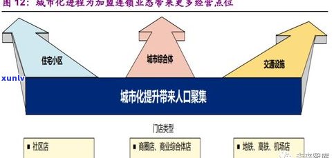 探究边销茶品牌：种类、质量及代表性企业