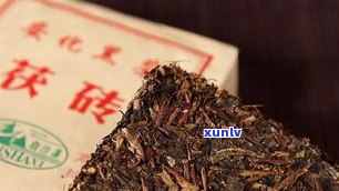 普洱茶和黑茶关系-普洱茶和黑茶关系大吗