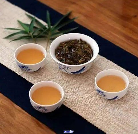 深入了解普洱茶：种类、区别与特点全解析