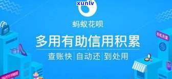 花呗还不起会判刑吗-花呗还不起会判刑吗知乎