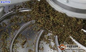 普洱特级茶的请求：定义、品质、功效及价格全解析