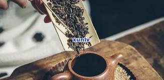 黑茶与普洱茶：同一种茶吗？探究其异同点