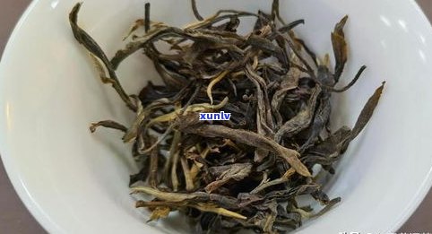 瓜芦茶代替普洱茶-瓜芦茶代替普洱茶的功效