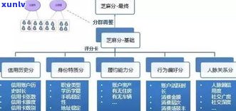 花呗会出现在报告吗？如何查询及影响因素解析