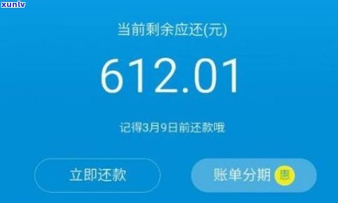 花呗1年没还上吗-个人会查到花呗吗