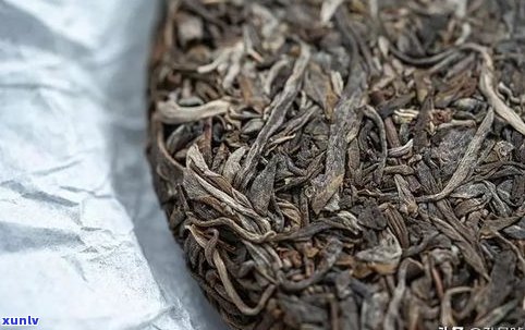 栾氏普洱茶化石茶-栾氏普洱茶化石茶是什么茶