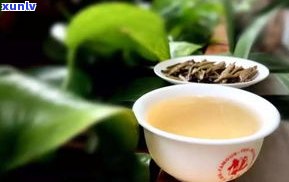 春尖茶是普洱茶吗？熟悉其与绿茶的区别及是不是属于同一类茶