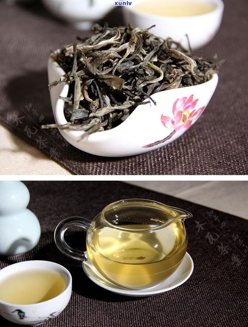 头春茶普洱茶生茶-普洱生茶头春区别