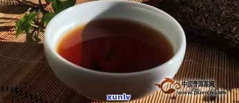 普洱茶：喝生茶好还是熟茶好？比较分析