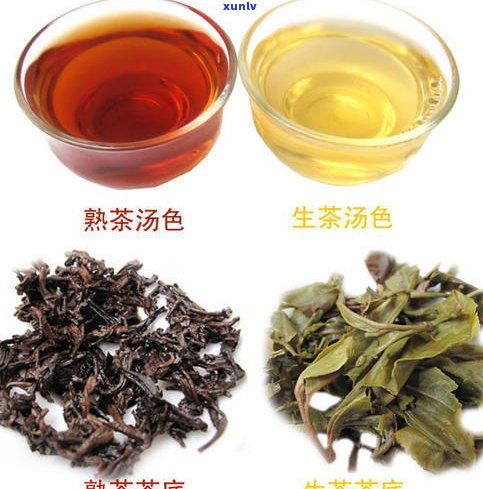 熟普洱茶算什么茶-熟普洱属于什么茶?