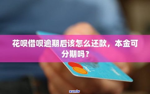 支付宝借呗花呗逾期能否协商还本金？