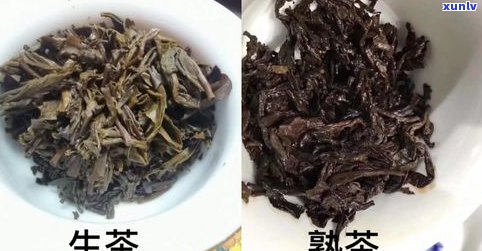 普洱茶和金花茯茶哪个口感更胜一筹？探讨两者区别及优劣