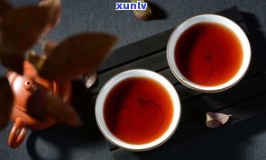 金花茯茶与茯茶的区别：从金花到口感、功效全方位解析