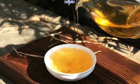 普洱茶小户赛与大户赛的区别及特点，属于哪种茶？云南普洱茶小户赛百科