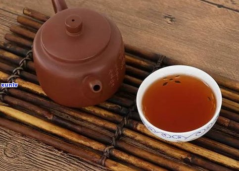 熟普洱茶有哪些类型、功效与品牌？一文告诉你！