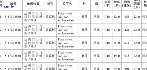 全面解析宝石玉器基础知识：从入门到精通