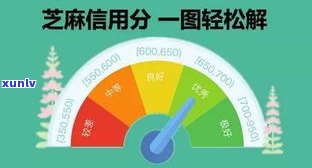 支付宝花呗逾期是否还能在其他平台借款？