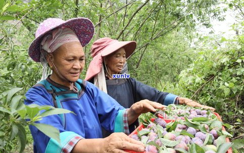 玉石如何最划算地换钱？哪些店回收玉石？请看详细解析！