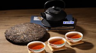 深度解析：普洱茶春茶与秋茶的区别及口感比较