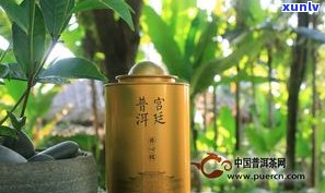 茶香庄普洱茶来自-茶香庄普洱茶来自哪里