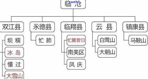 普洱茶是大树茶吗？探讨其来源及分类