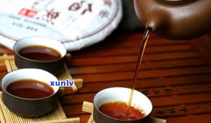 普洱茶的大树茶：含义、特点与分类全解析