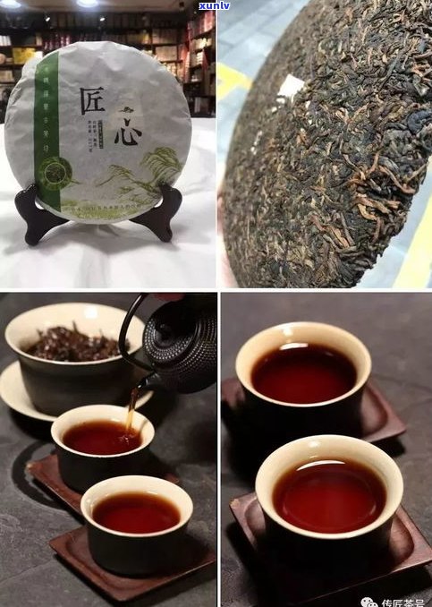 普洱茶有大树茶吗-普洱茶有大树茶吗图片