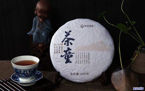 朱元璋普洱茶历史-朱元璋普洱茶历史背景