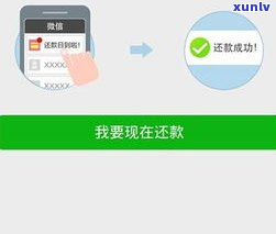 花呗降额是否会影响信用卡？——知乎用户的经验分享与解决方案