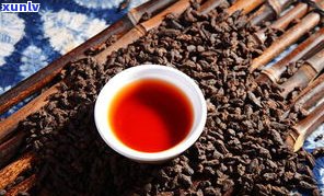 临沧茶区的普洱茶品种、品牌及特点全解析