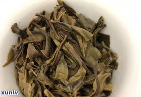 易武大树普洱生茶的特点与价格，以及熟茶的区别介绍