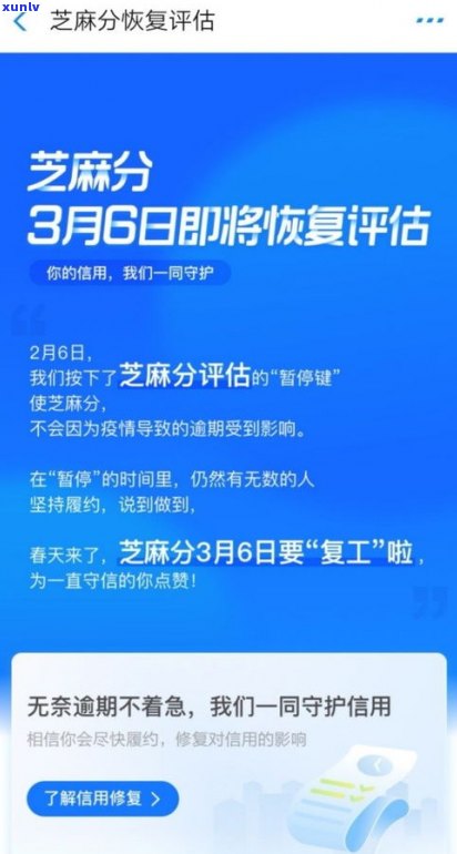 花呗逾期后仍能用支付宝付钱吗？安全性如何？解决方案是什么？是否将无法再使用花呗？