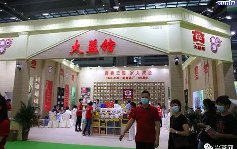 茶博会普洱茶展示-茶博会普洱茶展示图片