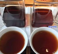 普洱茶熟茶怎样品鉴出更佳口感？