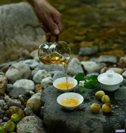 普洱茶的茶菁分级-普洱茶茶菁级别