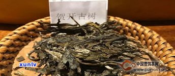 普洱茶贺开古代茶-贺开 普洱茶