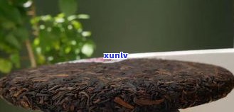 普洱茶饼：属于熟茶还是生茶？