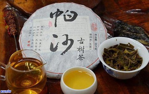 普洱茶之思茅茶区-思茅的普洱茶怎么样