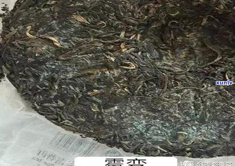 普洱茶湿度适中：影响品质与防霉的关键