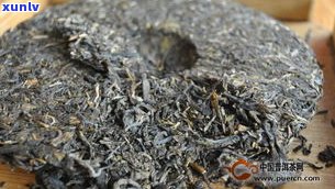 普洱紧压茶(生茶): 泡法、保质期及价格全解析